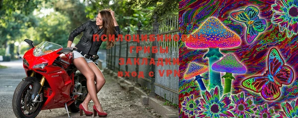 apvp Богданович