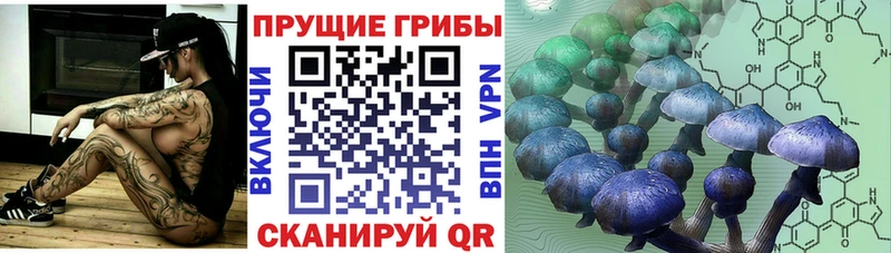 Галлюциногенные грибы Cubensis  Люберцы 