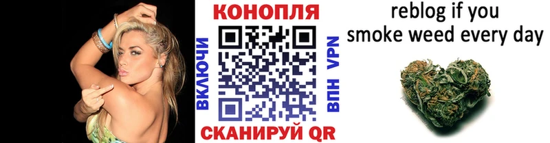 Бошки марихуана OG Kush  ОМГ ОМГ как войти  Люберцы  как найти закладки 